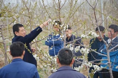 山东省科学技术厅 在线访谈 “乡村振兴 科技特派员在行动”第七十五期直播