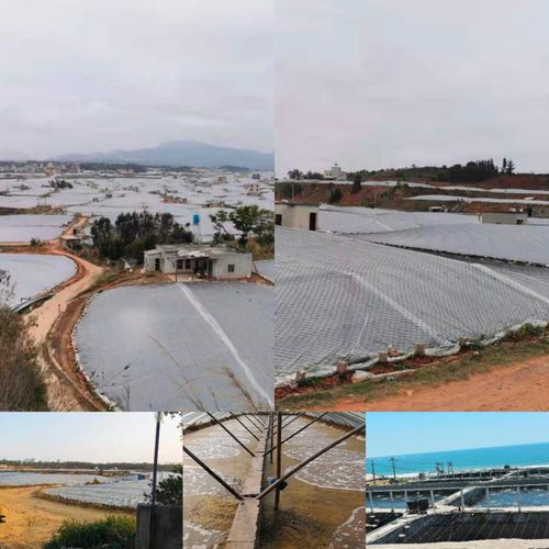 这家公司在虾苗业 边缘区 开创出独特口碑 2021寻找中国好虾苗第六站