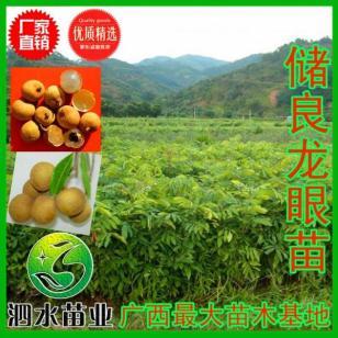 舒兰桂圆荔枝批发