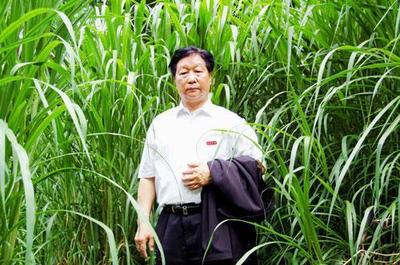 黄觉表演受《山海情》原型认可,你知道林占熺的菌草技术有多牛?