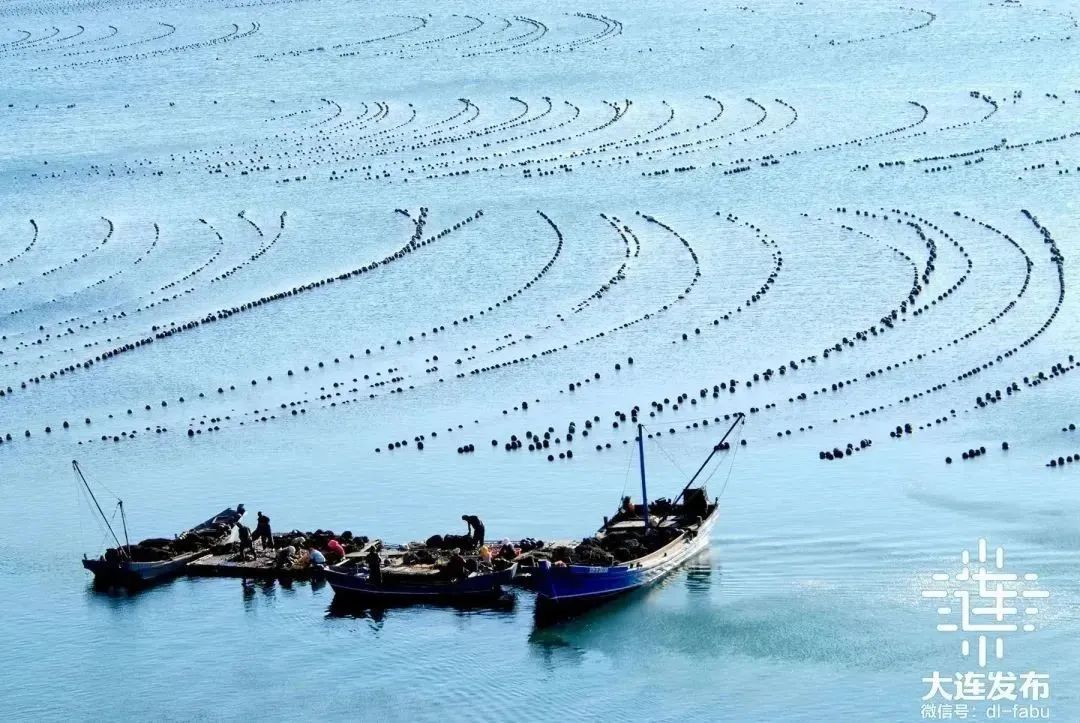 好环境,有信心!民营经济“量”“质”齐升!