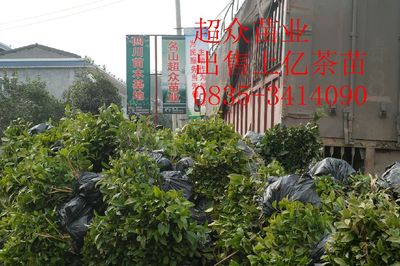 湖北省英山县杨柳湾镇农技服务中心_世界工厂网全球企业库
