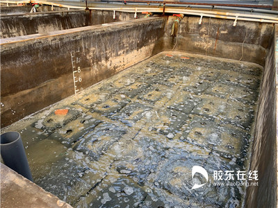 烟台海益苗业的健康守护:从行业源头追溯水产品安全