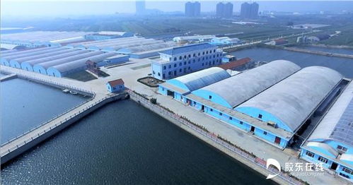 山东烟台海益苗业 守护健康，从源头追溯水产品安全