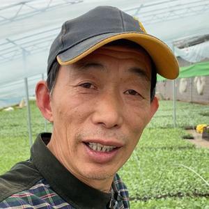 东哥苗业 绿色产业中的专业力量