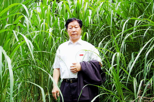 林占熺 以菌草技术推动全球扶贫,谱写绿色希望之歌