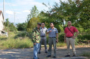 中亚苗业安全稳定工作落实情况检查报告